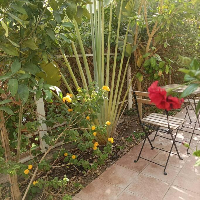 Stone Terrace-אילת סטון טראס Eilat